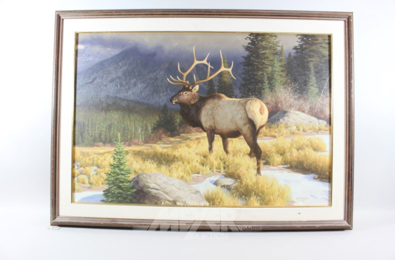 Serie von 5 Gemälden, ''Tiermotive''