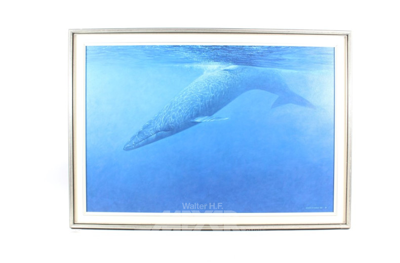 3 versch. Drucke nach Claudio D´Angelo