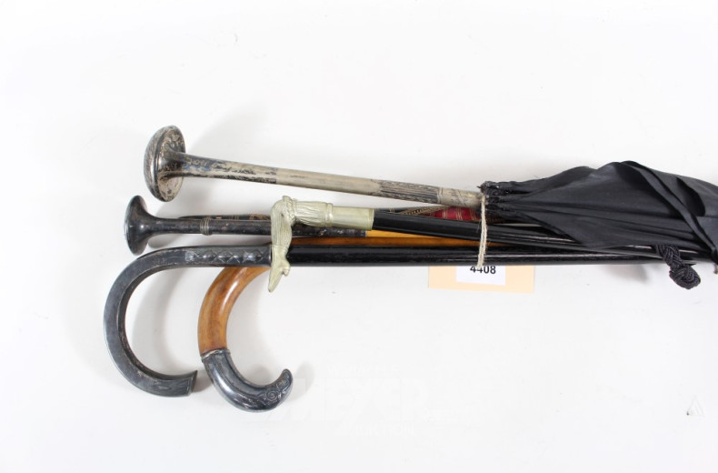 6 Spazier/Flanier- und Gehstöcke sowie