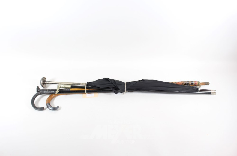 6 Spazier/Flanier- und Gehstöcke sowie