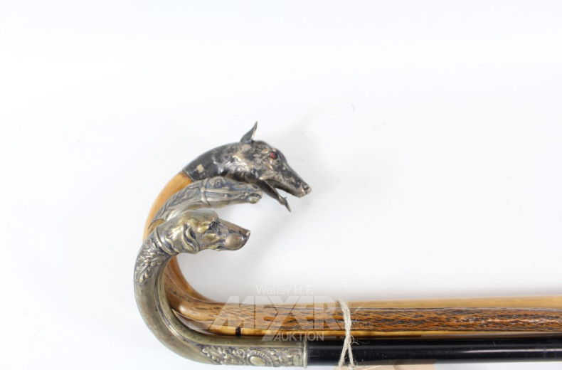 3 Spazier/Flanier- und Gehstöcke mit