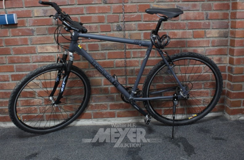 Cross-Trekkingrad TIRENGA TDX-3, 28''