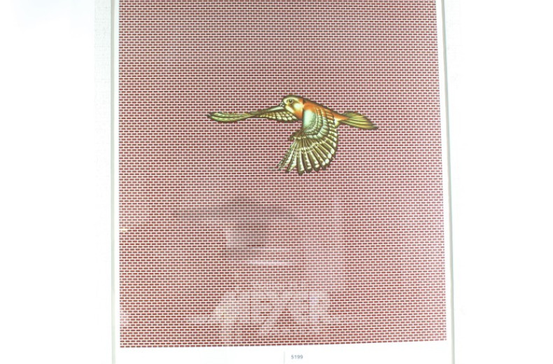 Farblithographie ''Greifvogel'',