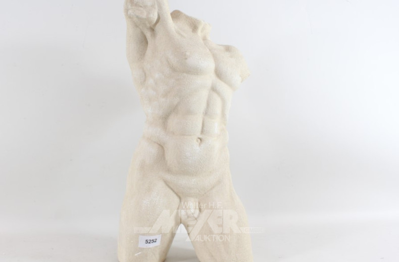 Herren-Torso, Gips, H: ca. 46 cm