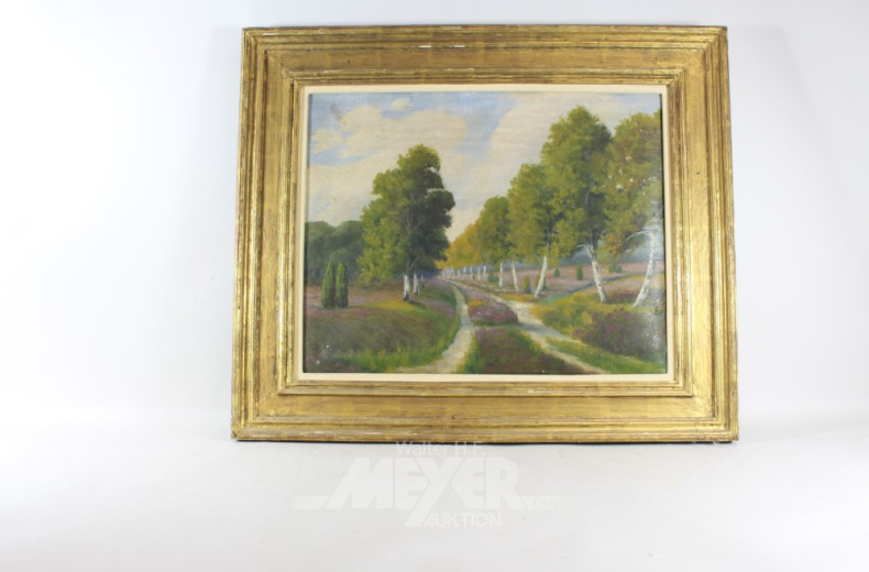 7 versch. Bilder: Waldstück, Bergansicht,