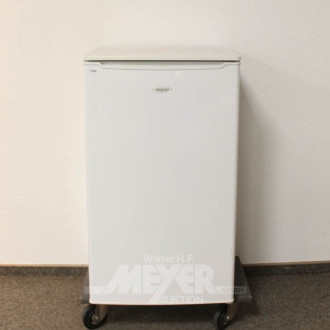 Kühlschrank EXQUISIT mit Gefrierfach