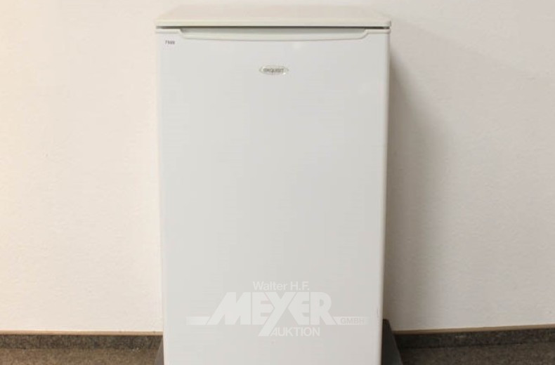 Kühlschrank EXQUISIT mit Gefrierfach