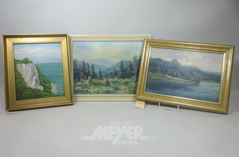 3 Gemälde ''Rügen/Gebirgslandschaft/