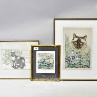 3 div. color Radierungen ''Katzen''