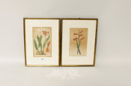 8 Bilder ''Blumen'', ca. 22 x 13 cm,