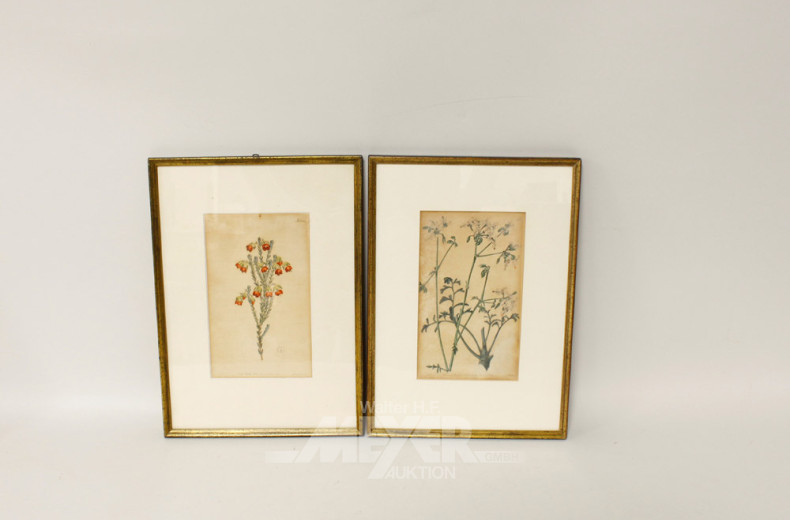 8 Bilder ''Blumen'', ca. 22 x 13 cm,