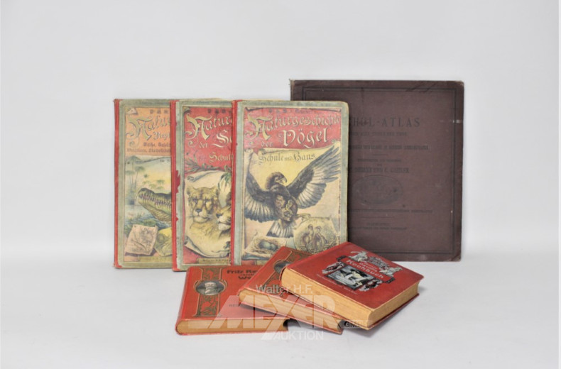 23 antike Bücher: Kochbücher, Naturkunde,