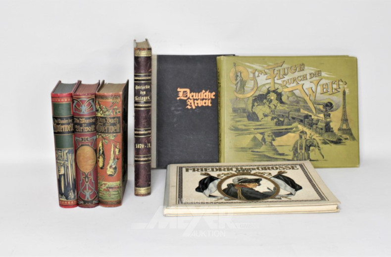 23 antike Bücher: Kochbücher, Naturkunde,