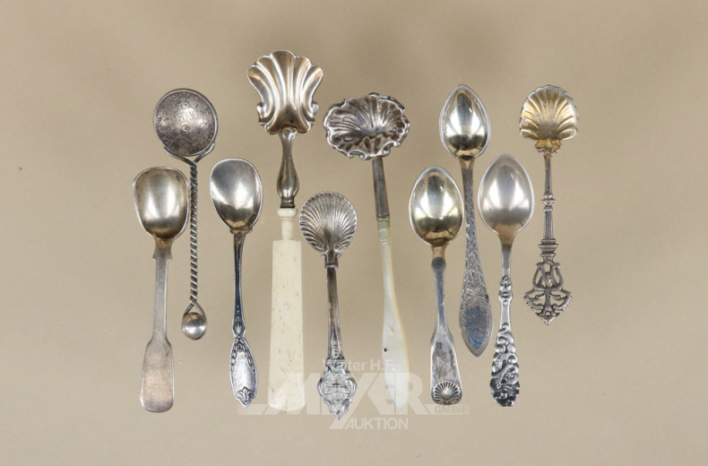 10 kl. versch. Salz/Gewürz-Löffelchen.