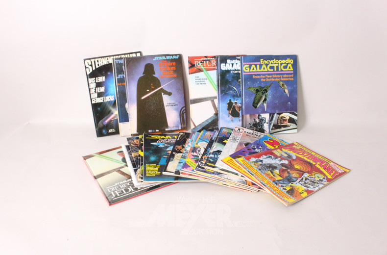 Posten Comic-Hefte und Bücher,